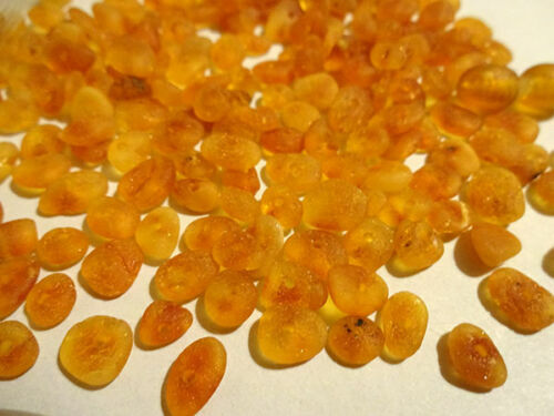 Natural Amber stone drilled 5gr about.100 beads – choose color !!!
