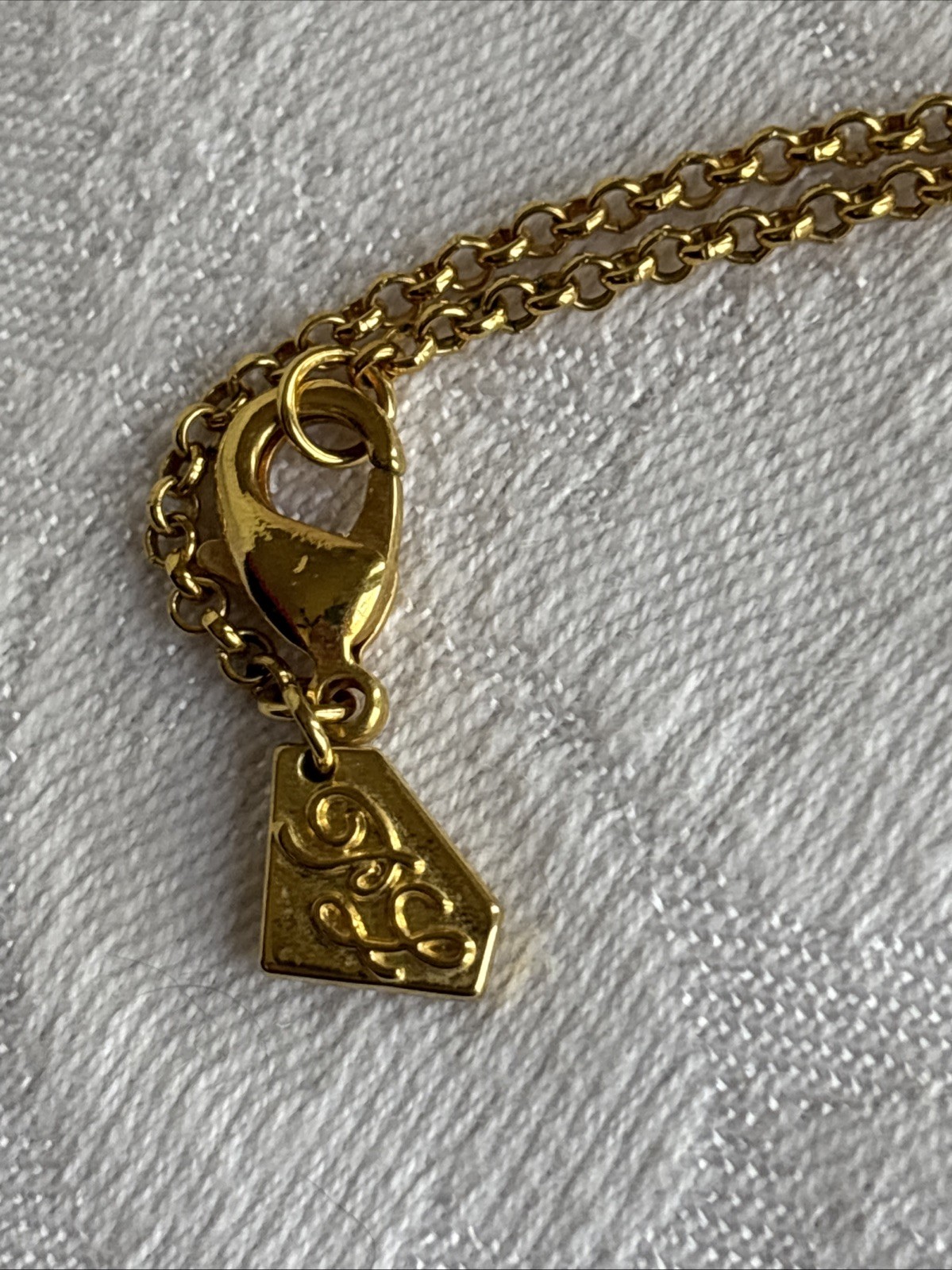 Park Lane Roma Necklace Long Satin Brushed Gold Tone & Anne Klein Earrings