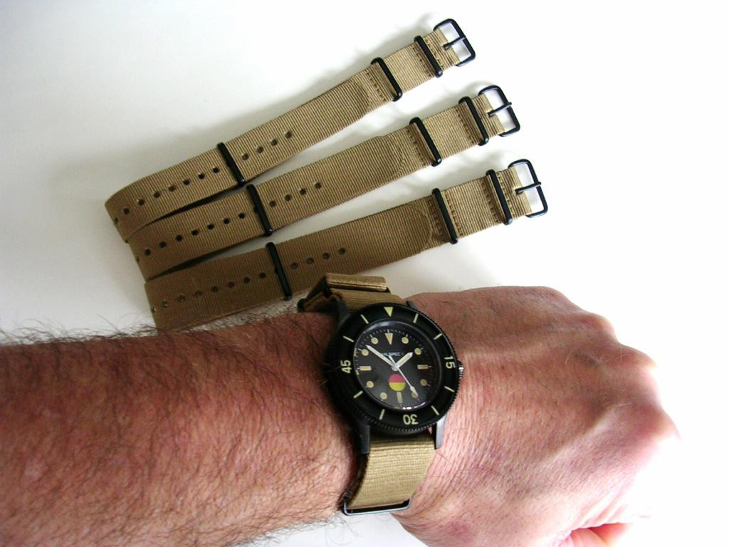 NATO G10 Khaki Brown Nylon Military Army PVD watch band strap IW SUISSE 18 20 22