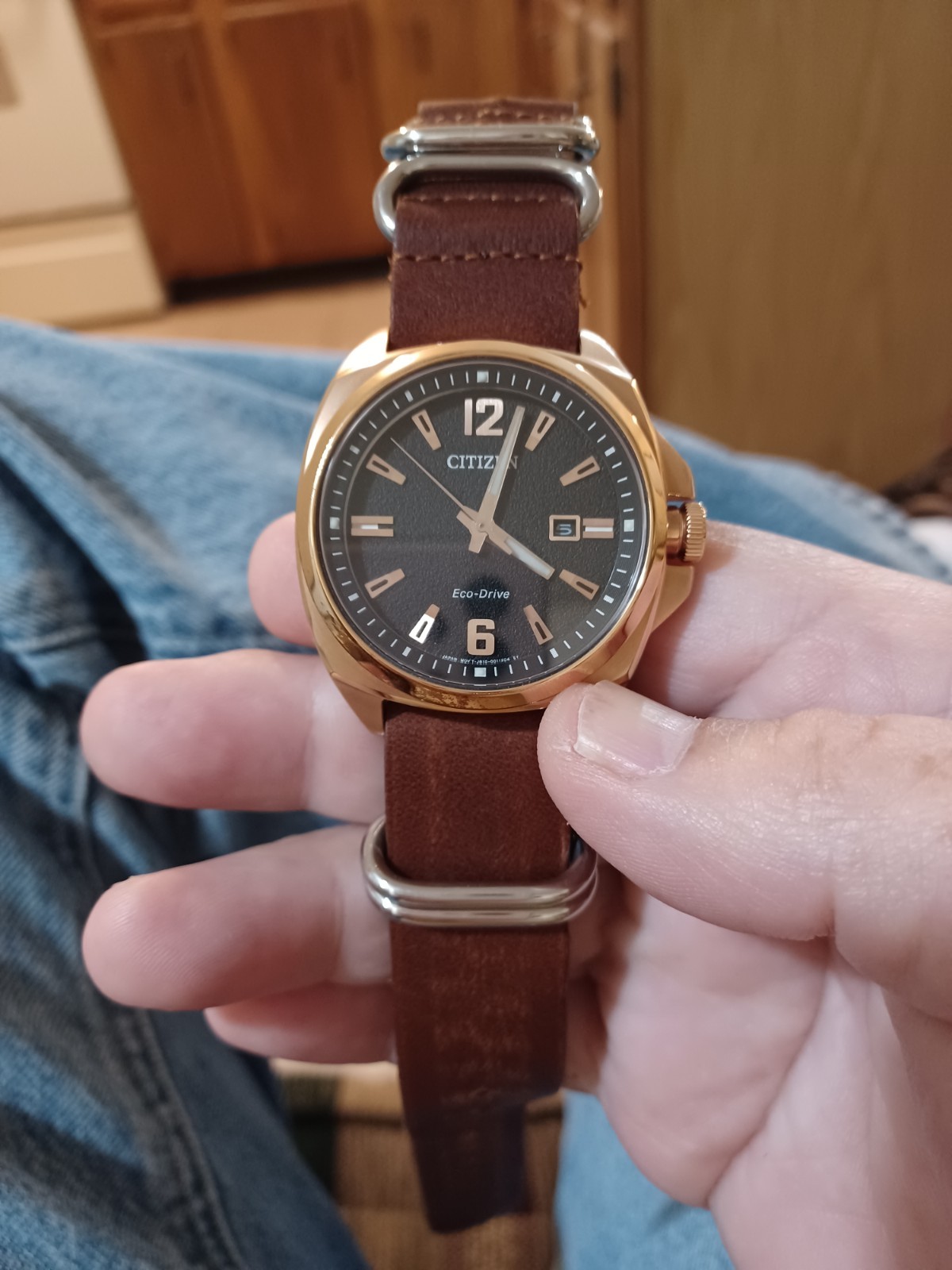 Citizen Endicott used