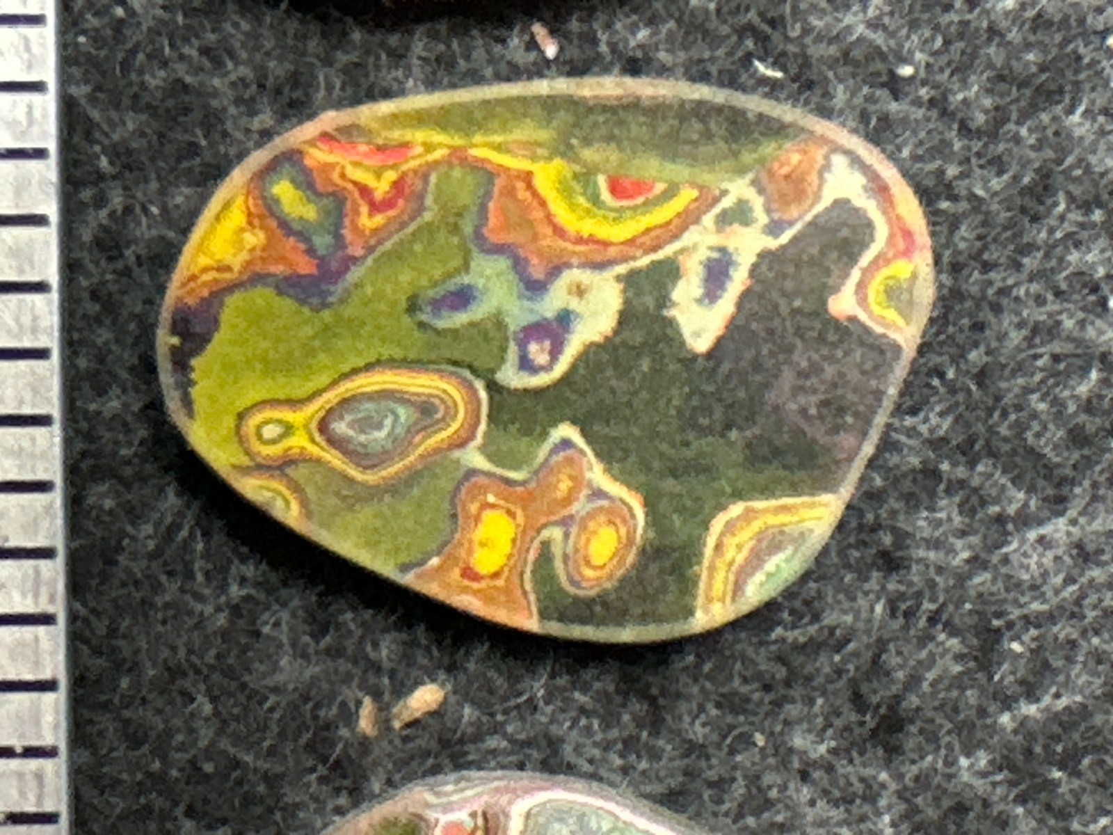 Fordite / Cadillac Ranch Cabochons Very Good Quality Colors Lot 5
