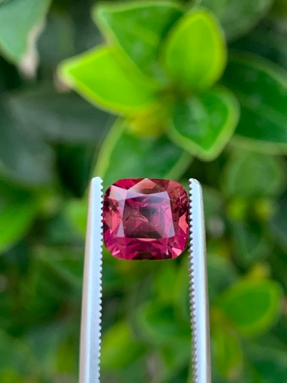 Natural Afghan Tourmaline 2.20 Ct Unheated Untreated Gemstone 7x6mm