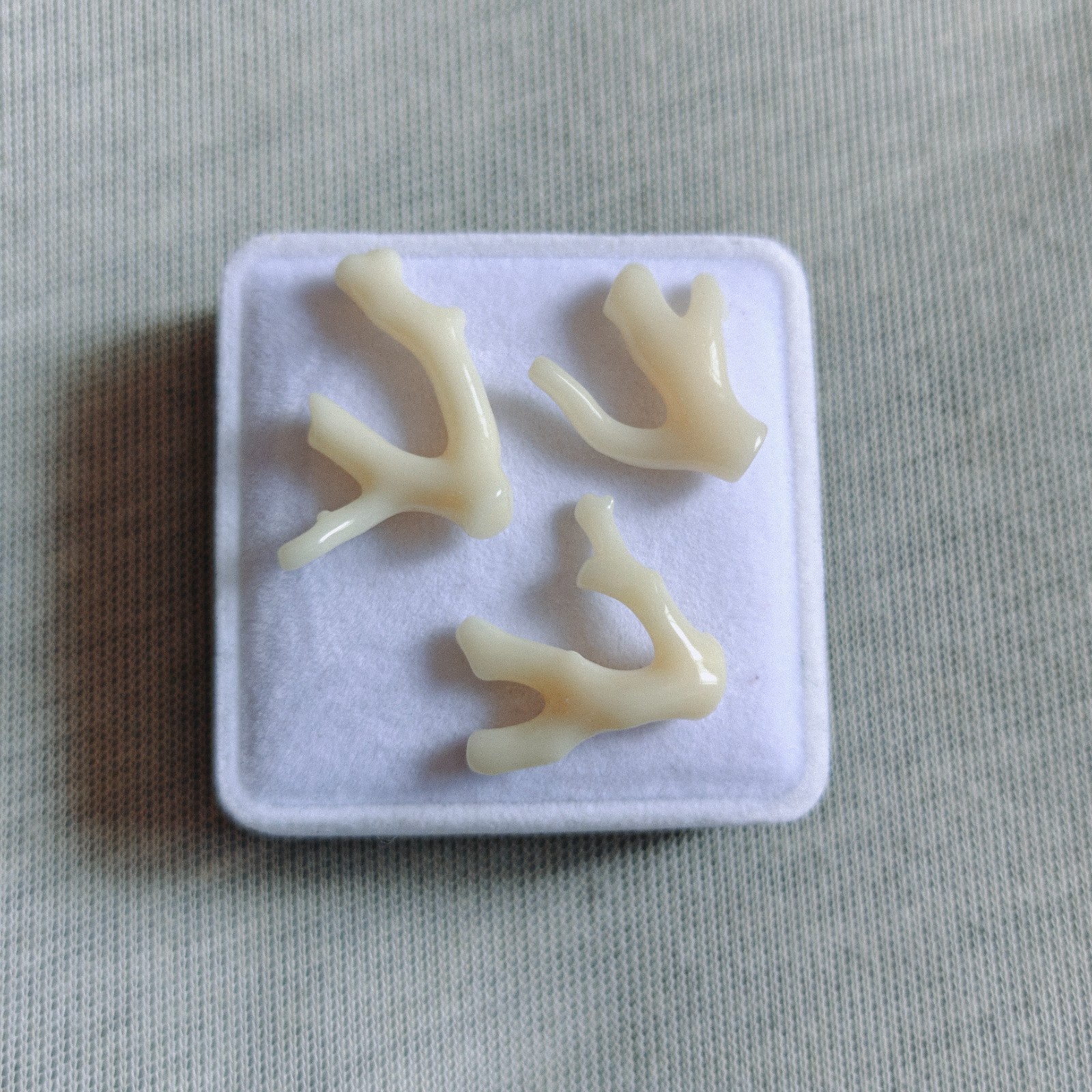 Natural Japanese White Coral Branch Polished Rough Coral Gemstone Specimen