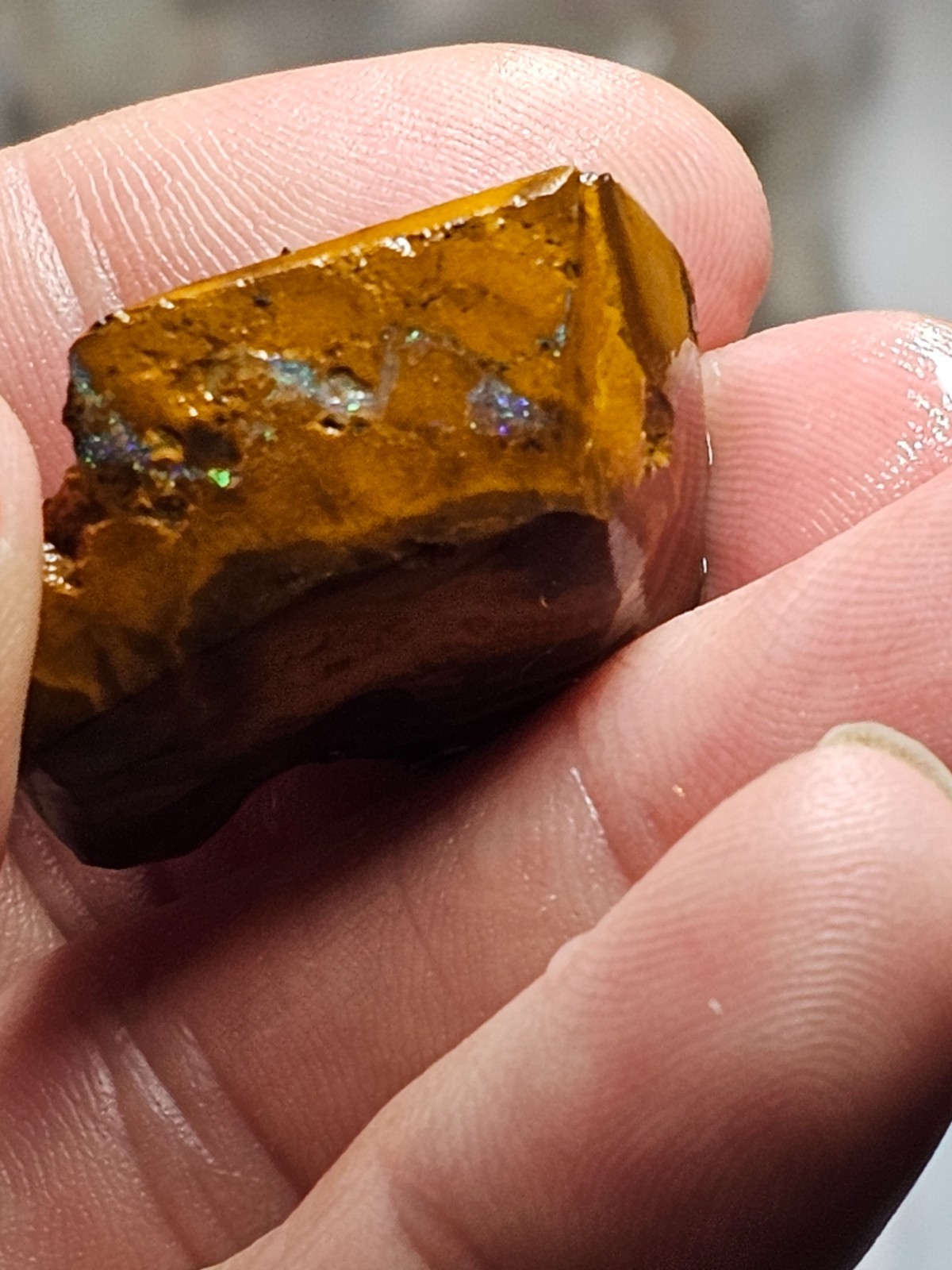 87 cts Australian Boulder Rough opal Gamble stone Partially shaped rubbed stone