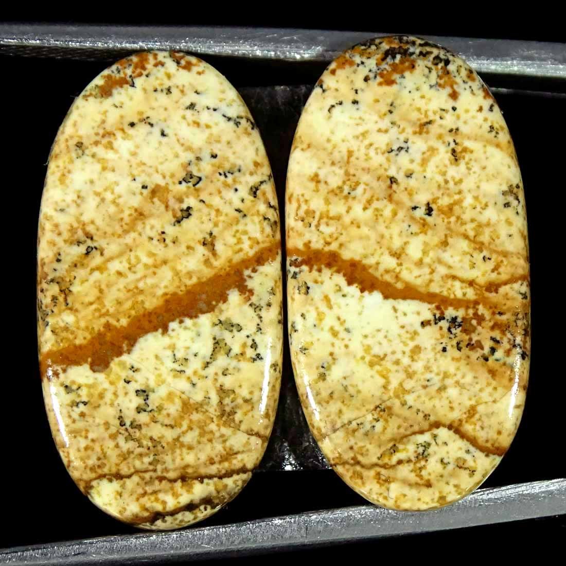 15.50Cts Natural Picture Jasper Cabochon Loose Gemstone Pair 11x22x3mm Oval