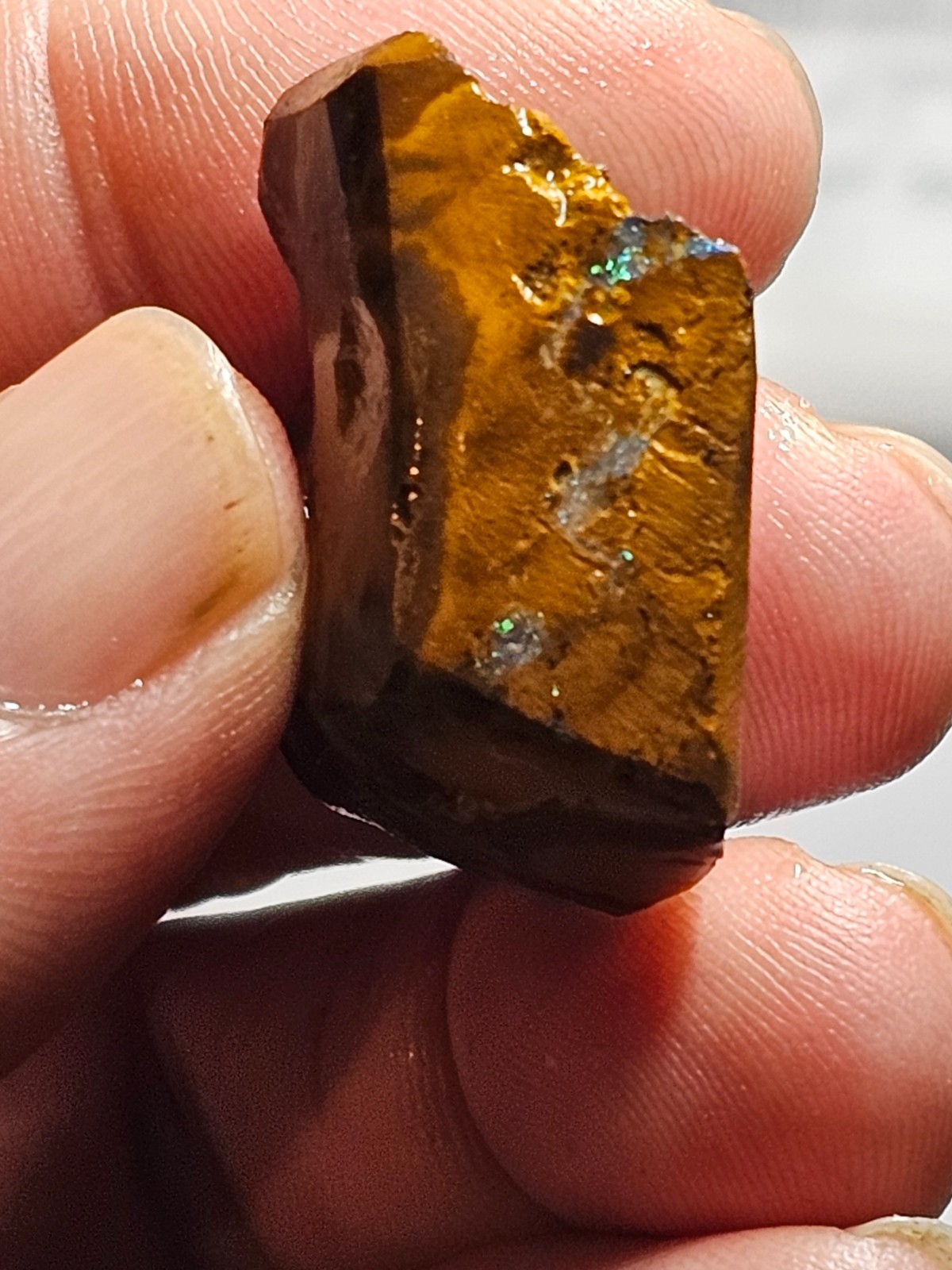 87 cts Australian Boulder Rough opal Gamble stone Partially shaped rubbed stone