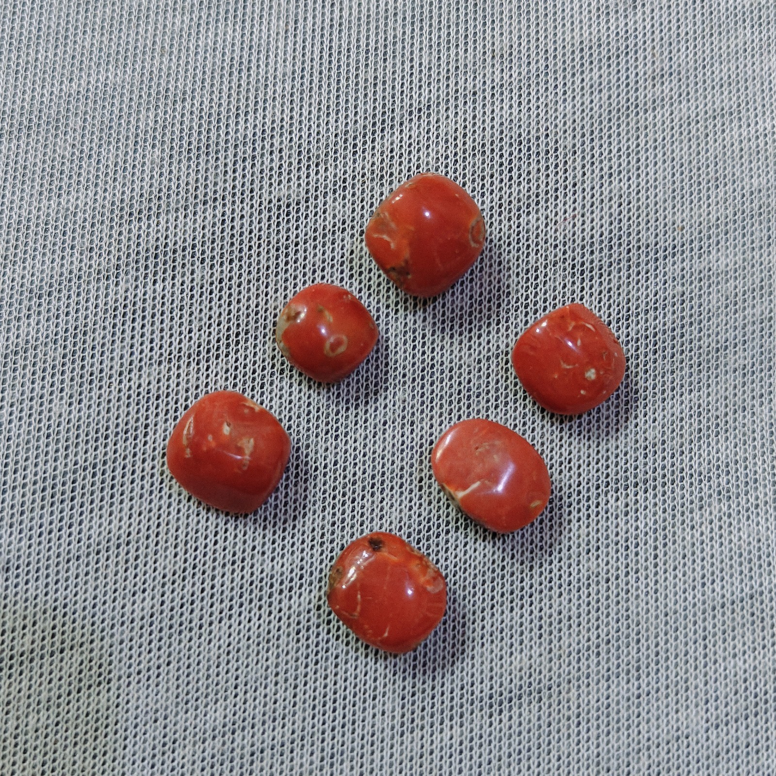 Vintage Natural Italian Red Coral Cabochon Lot Genuine Mediterranean Coral Gemst