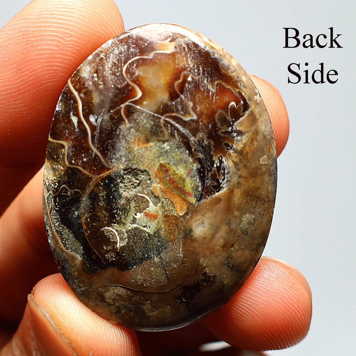 87 Cts Natural Ammonite Fossil High Grade 40mmx30mm Oval Cabochon Loose Gemstone