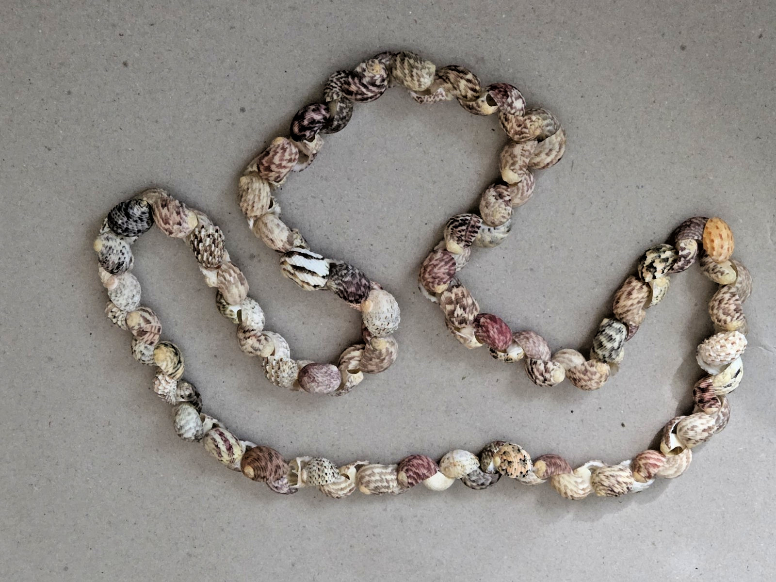 Unbranded – Handmade Natural Seashell Necklace – Snail Shells – 17 inches long