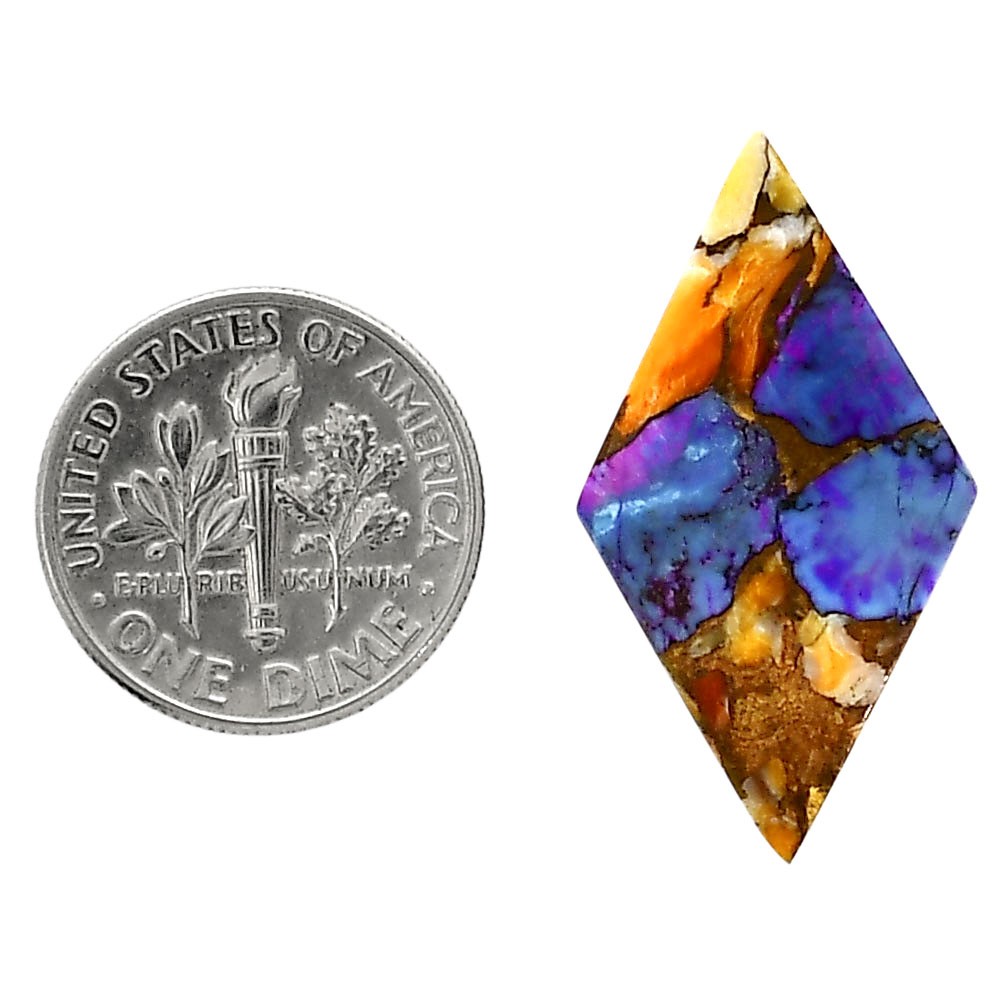Spiny Oyster Turquoise 16×29.3×2.7 mm Fancy Shape Polished Gemstone LS87-05381
