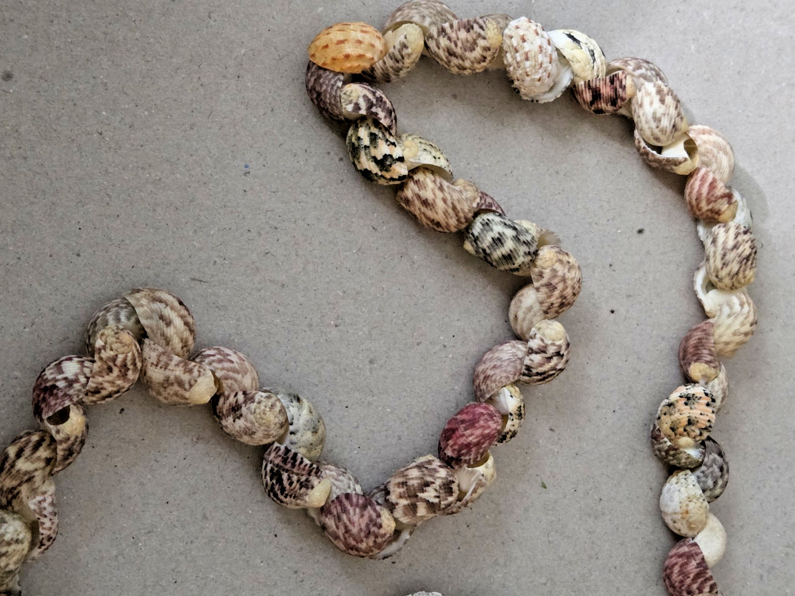 Unbranded – Handmade Natural Seashell Necklace – Snail Shells – 17 inches long