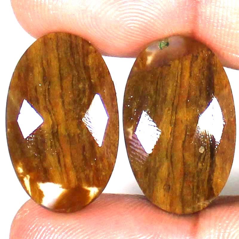 29.45 Cts Natural Picture Jasper Pair Cut Oval Cabochon Loose Gemstone 16x26x4mm
