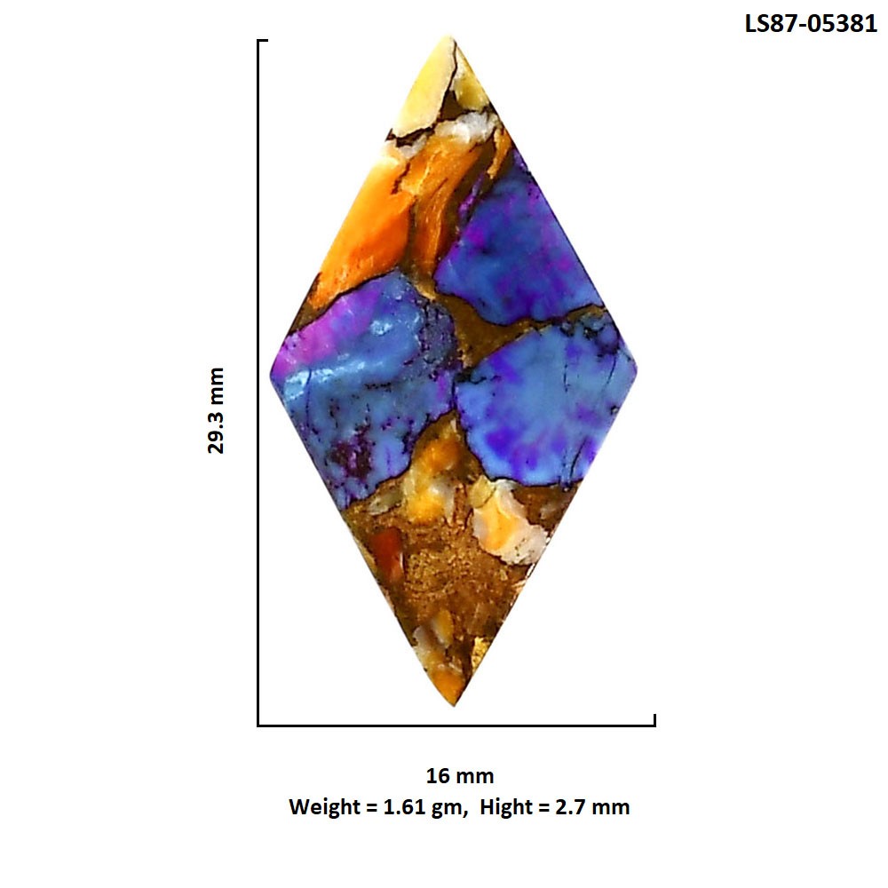 Spiny Oyster Turquoise 16×29.3×2.7 mm Fancy Shape Polished Gemstone LS87-05381