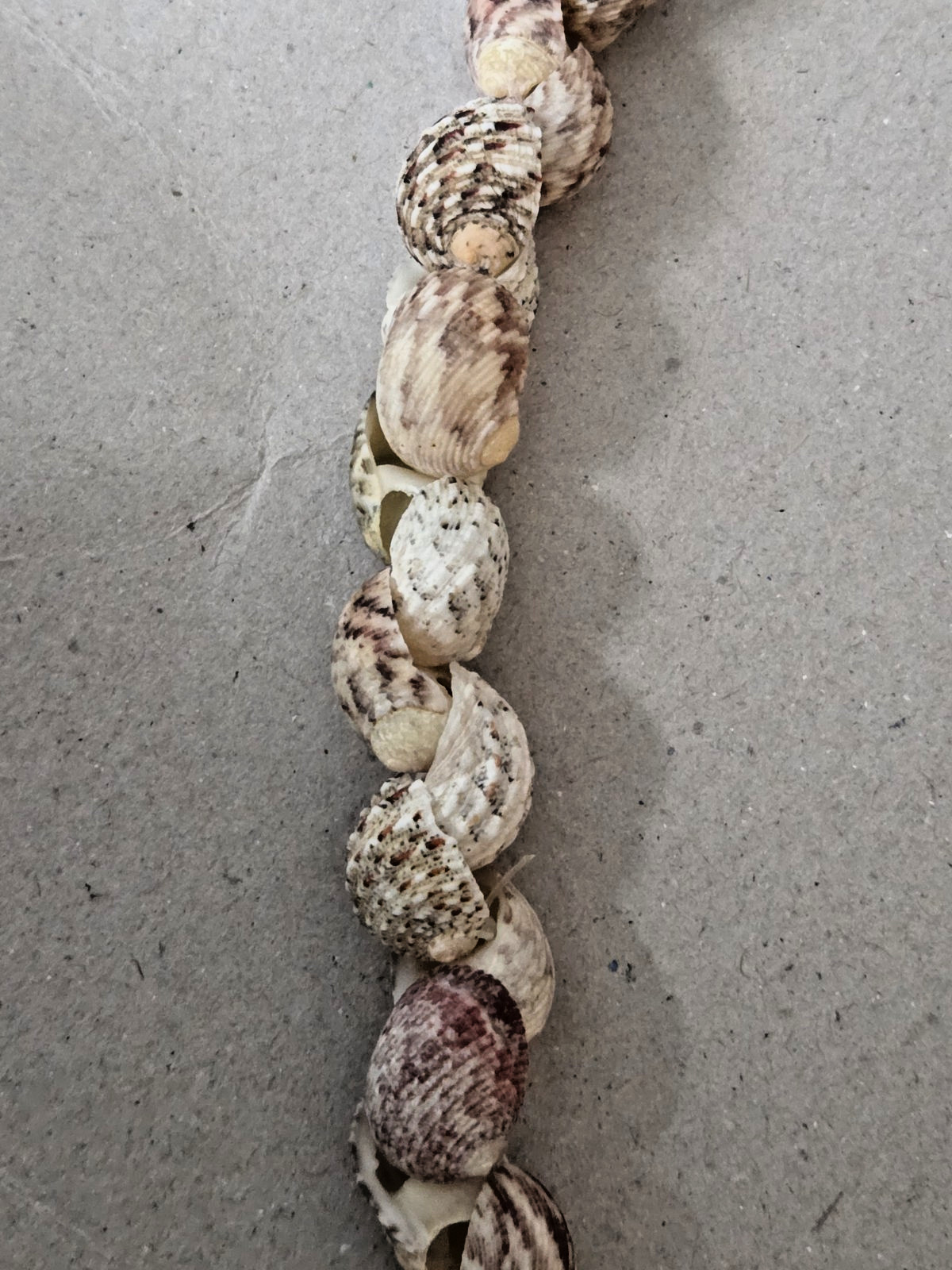 Unbranded – Handmade Natural Seashell Necklace – Snail Shells – 17 inches long