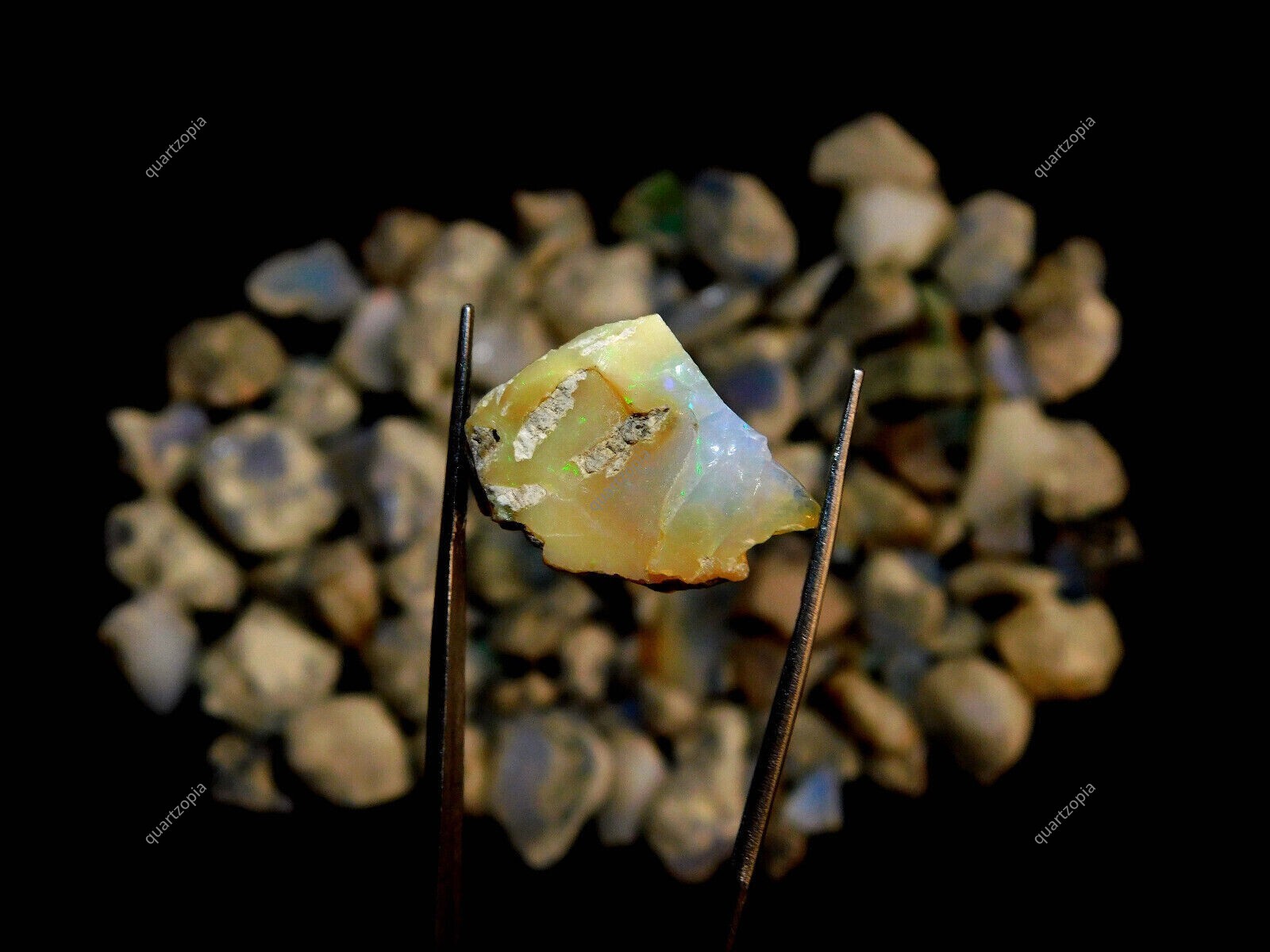 515 Cts Natural Ethopian Fire Opal Certified Rough Lot