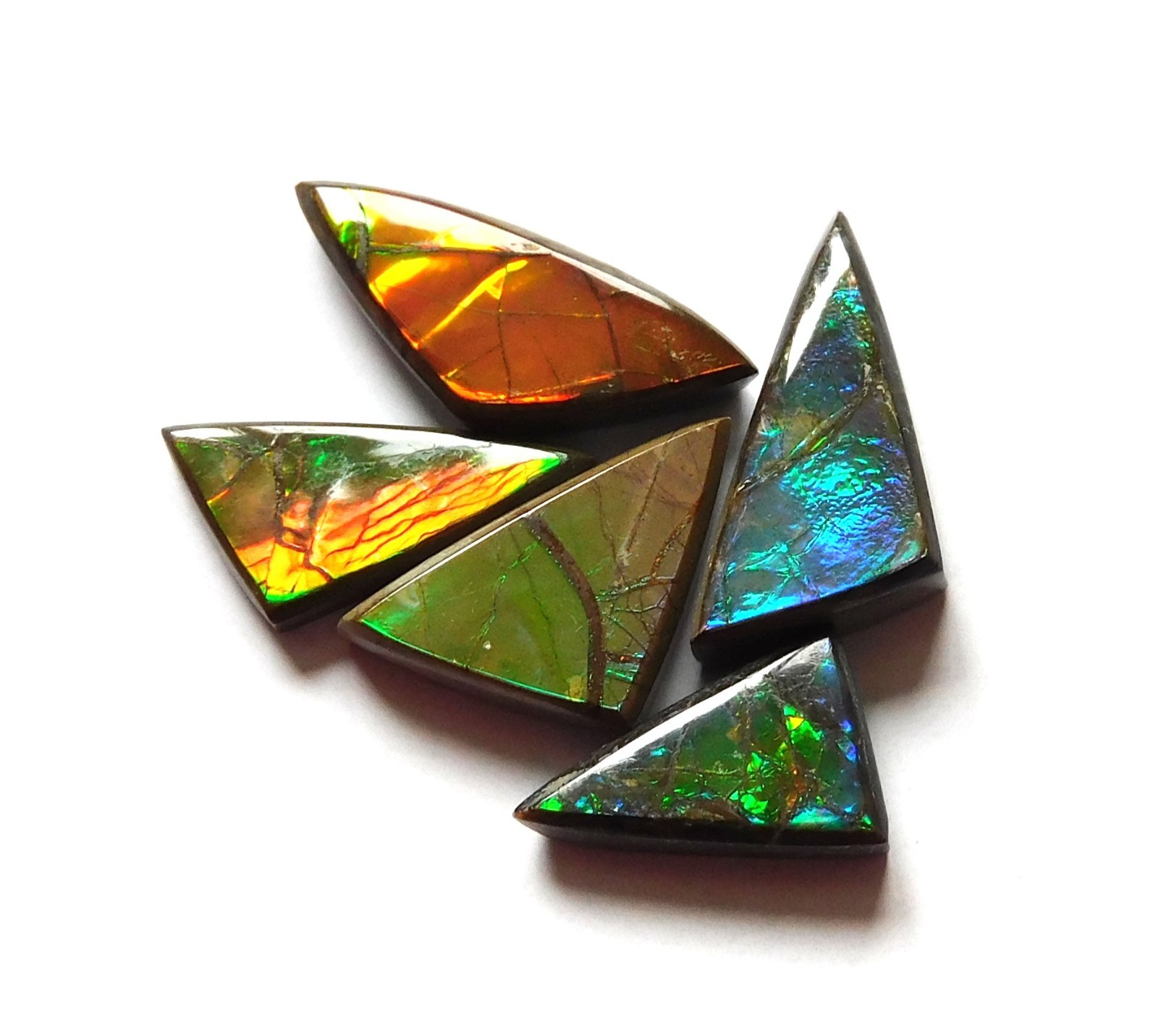 16.40 Cts Natural Ammolite 5 Pcs Lot Loose Cabochon Gemstone CL25